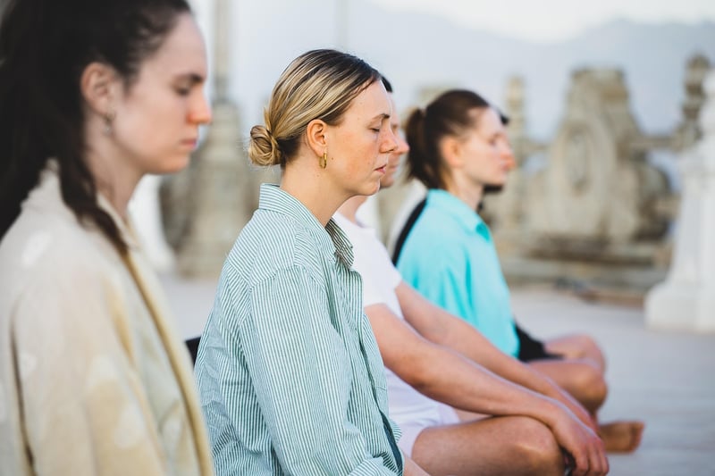 Mindfulness Workshops
