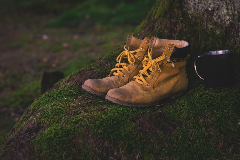 Nature Hike